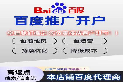 推广竞价策略解析：成功案例分享